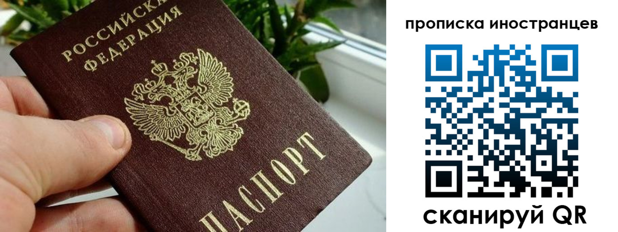 временная регистрация в Палласовке
